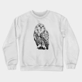 Snowy owl Crewneck Sweatshirt